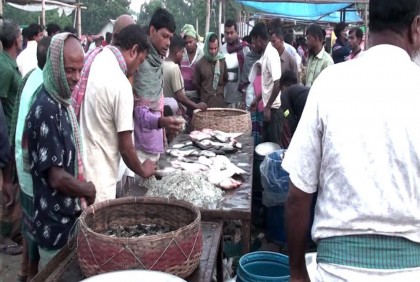 ভরা মৌসুমে মানিকগঞ্জে দেশি মাছের সরবরাহ কম