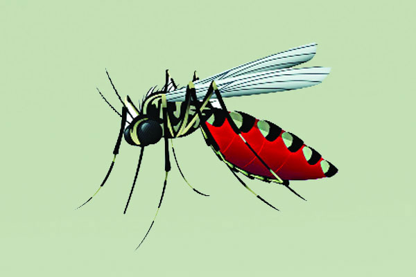 ডেঙ্গুতে এক দিনে রেকর্ড নয়জনের মৃত্যু