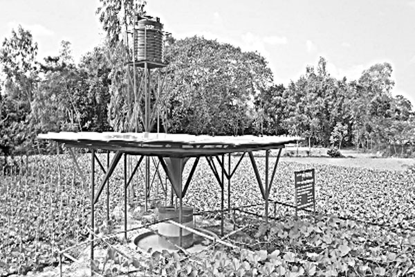 সোলার পাতকুয়ায় ভাগ্য ফিরেছে কৃষকের