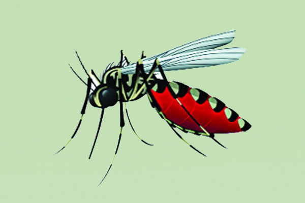 নভেম্বরেও ঊর্ধ্বমুখী ডেঙ্গু
