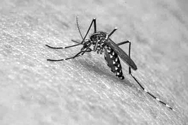 ডেঙ্গু ও আকস্মিক কিডনি বিকল
