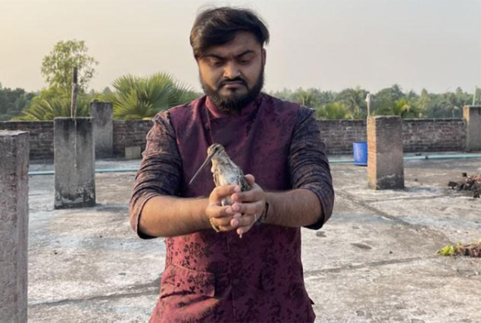 বিরল প্রজাতির পাখি উদ্ধার করে মুক্ত আকাশে অবমুক্ত