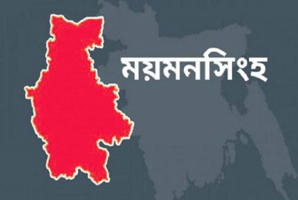 শাশুড়িকে ধাক্কা দিয়ে ফেলে হত্যা, জামাতা আটক