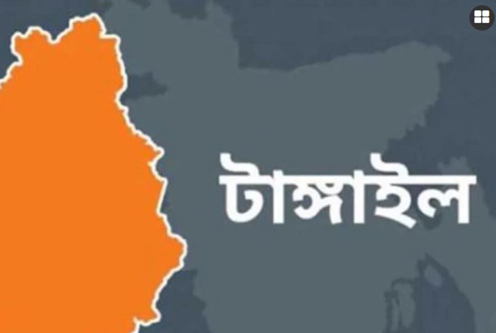 সখীপুরে সার ও বীজ পেলেন সাড়ে ৪ হাজার কৃষক