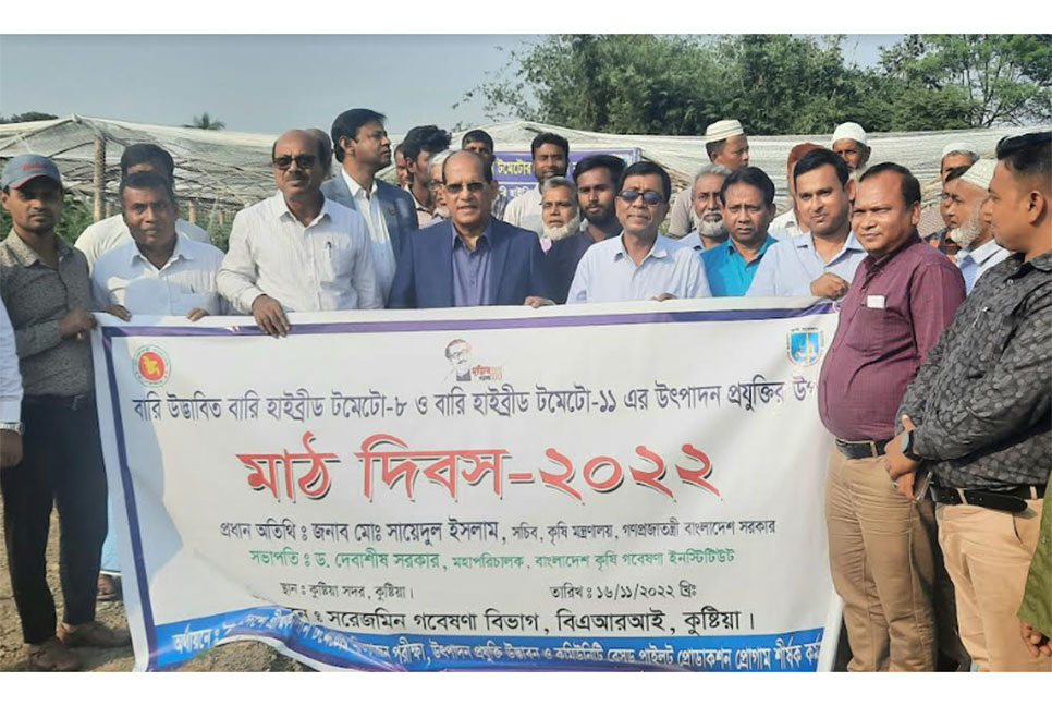 
বারি উদ্ভাবিত হাইব্রীড টমেটোর উৎপাদন প্রযুক্তির উপর মাঠ দিবস অনুষ্ঠিত