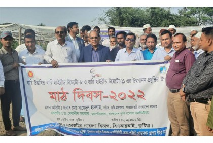 
বারি উদ্ভাবিত হাইব্রীড টমেটোর উৎপাদন প্রযুক্তির উপর মাঠ দিবস অনুষ্ঠিত