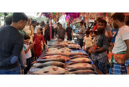 জয়পুরহাটে নবান্ন উৎসবে মাছের মেলা