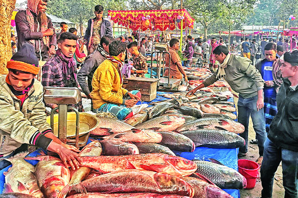 নবান্নে মাছের মেলা