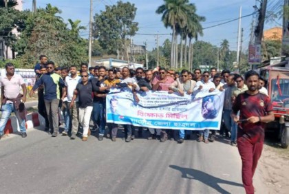 নাটোরে ছাত্রদলের বিক্ষোভ মিছিল, সমাবেশ