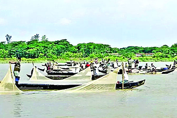 হালদা নিয়ে হচ্ছেটা কী