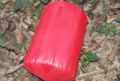 নাটোরে ৮টি বোমা উদ্ধার, বিএনপি কর্মী আটক
