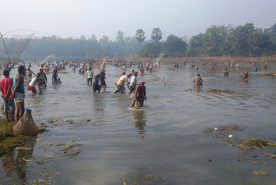 কালিয়াকৈরে মাছ ধরার উৎসব