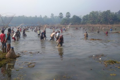 কালিয়াকৈরে মাছ ধরার উৎসব
