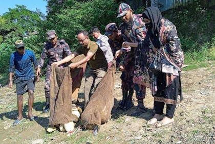আখাউড়ায় ৫২টি কচ্ছপ নদীতে অবমুক্ত