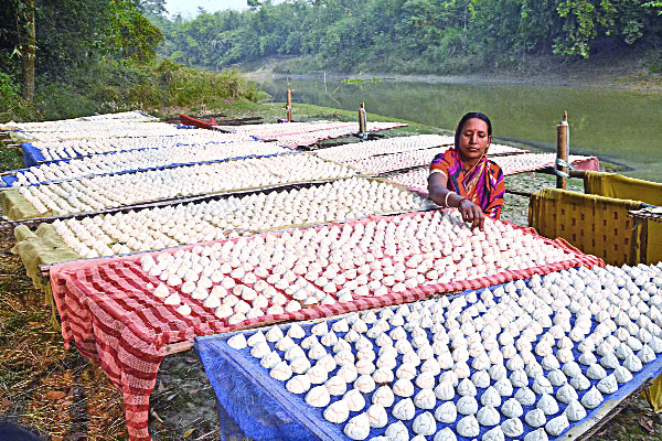 বগুড়ার নারীদের কুমড়ো বড়ির বিপ্লব