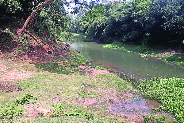 ‘মইলা’ নদী এখন খাল