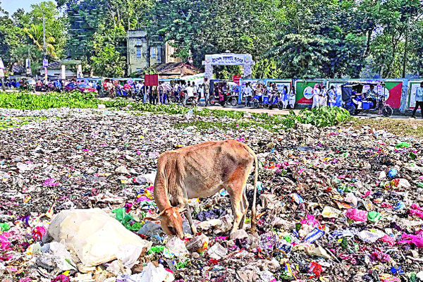 ময়লার ভাগাড়