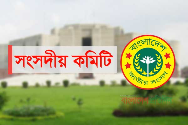 পায়রা বন্দরের প্রশস্ত সড়কের বিভিন্ন স্থানে রানওয়ে তৈরির সুপারিশ