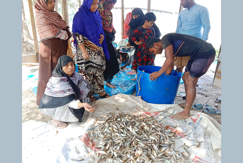 শত্রুতায় পুকুরে বিষ দিয়ে মাছ নিধন