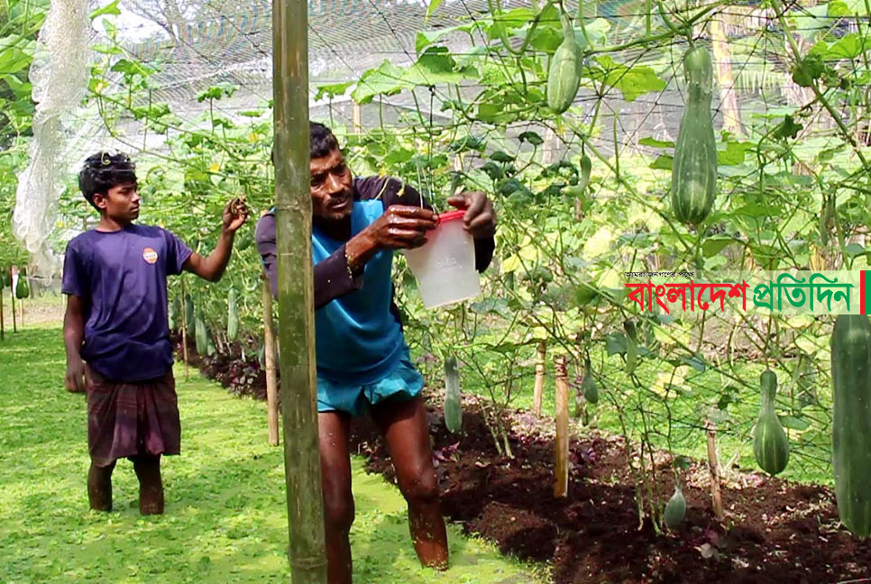 কালকিনিতে ভাসমান ধাপ পদ্ধতিতে চাষাবাদে সফলতা