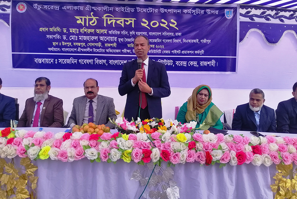 হাইব্রিড টমেটোর উৎপাদনে মাঠ দিবস