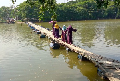 নড়বড়ে কলাপাড়ার ভাসমান সেই কাঠের সেতু, ঝুঁকি নিয়ে পারাপার