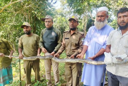 জেলেদের জালে ধরা পড়লো অজগর, কাপ্তাই উদ্যানে অবমুক্ত