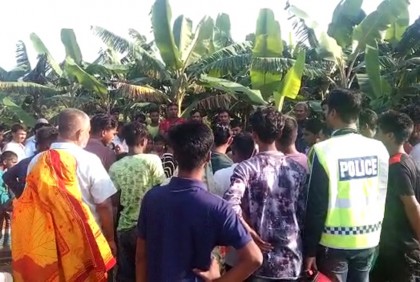 রায়পুরায় কলাবাগান থেকে ২ ব্যক্তির লাশ উদ্ধার 

