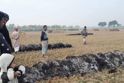 দুর্বৃত্তের আগুনে পুড়ল কৃষকের ধান