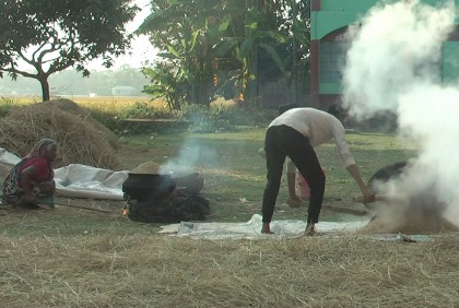 নেত্রকোনায় গ্রামে গ্রামে চলছে ধান সিদ্ধ উৎসব