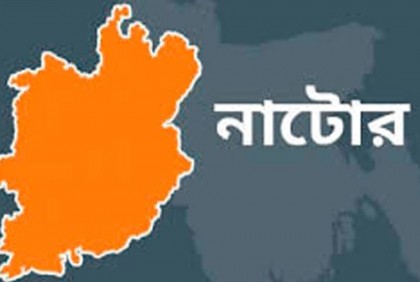 নাটোরে জমি সংক্রান্ত বিরোধে সংঘর্ষ, নারীসহ আহত ১১