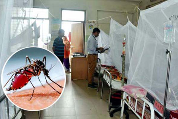 ৬০ হাজার ছাড়িয়েছে ডেঙ্গু শনাক্তের সংখ্যা