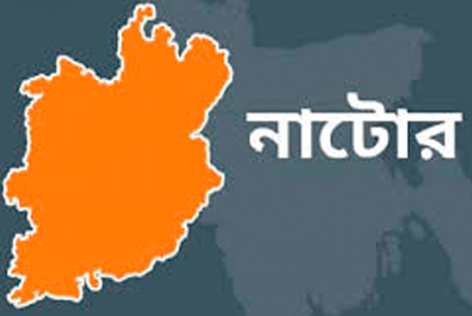 বড়াইগ্রামের এক পৌরসভা ও দুই ইউপি নির্বাচনের প্রচারণা শুরু