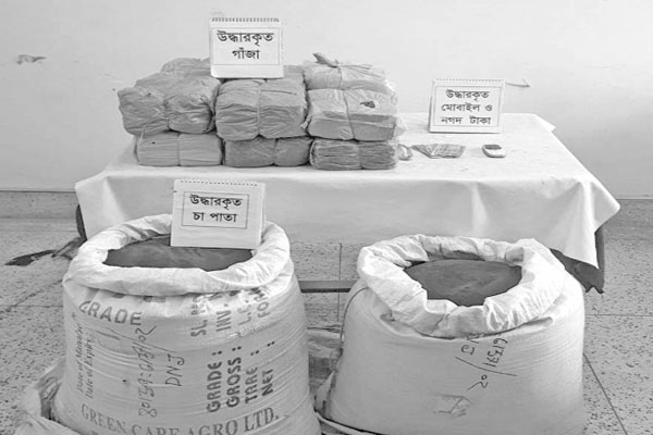 কুরিয়ার সার্ভিসে চা-পাতার আড়ালে গাঁজার চালান