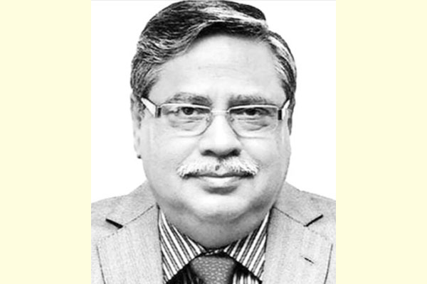  ২০২৪ সালে কেন জরুরি শেখ হাসিনা