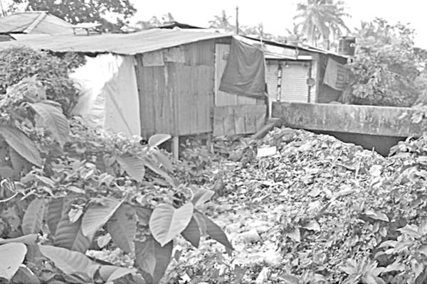 দখল-দূষণে হারিয়ে যাচ্ছে পিরতলার খাল