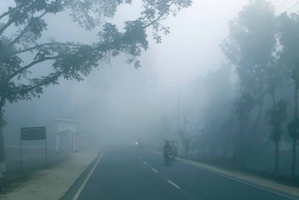 ঘন কুয়াশার চাদরে ঢাকা দিনাজপুর