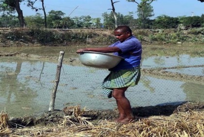 বোরো ধানের বীজতলা তৈরিতে
ব্যস্ত কৃষক