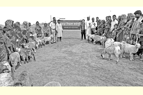 কুড়িগ্রামের চরে চাষাবাদে পাল্টে যাচ্ছে জীবনযাত্রা