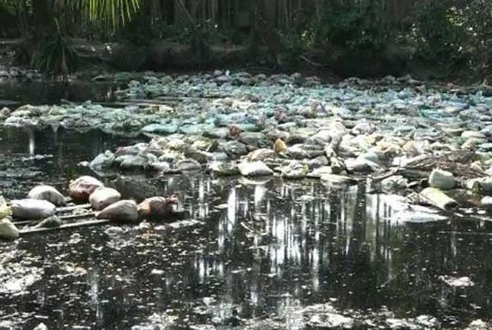 ভেজানো সুপারির গন্ধে দূষিত হচ্ছে রায়পুরের পরিবেশ