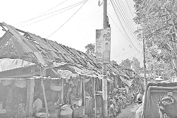 বেহাল গোবিন্দগঞ্জ পৌর মাছ বাজার