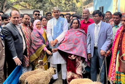 নাটোরে ভেড়া ও সাইকেল বিতরণ