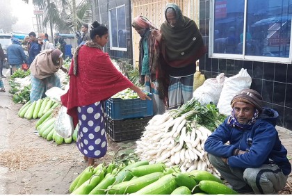 স্বস্তি ফিরেছে লক্ষ্মীপুরের সবজির বাজারে