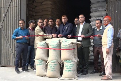 ব্রাহ্মণবাড়িয়ায় আমন সংগ্রহ অভিযানের উদ্বোধন