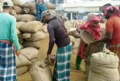 গলাচিপায় ৪৮ কেজিতে ধানের মণ নির্ধারণের অভিযোগ, প্রতারণার শিকার কৃষক
