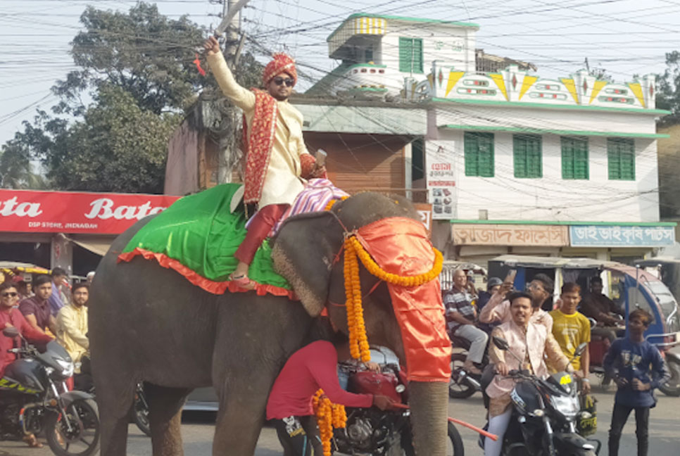 বাবার ইচ্ছে পূরণে হাতির পিঠে চড়ে বিয়ে