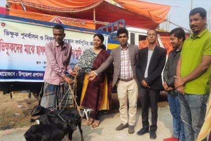 সখীপুরে ভিক্ষুক পুনর্বাসন করতে ছাগল বিতরণ