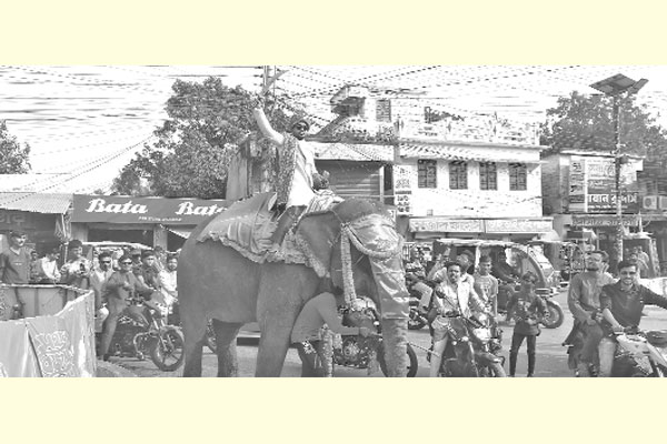 হাতির পিঠে চড়ে বরযাত্রা