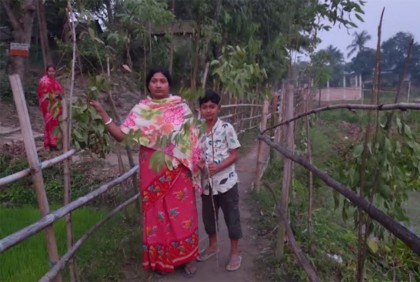 কালিয়াকৈরে গাছের সাথে শত্রুতা!