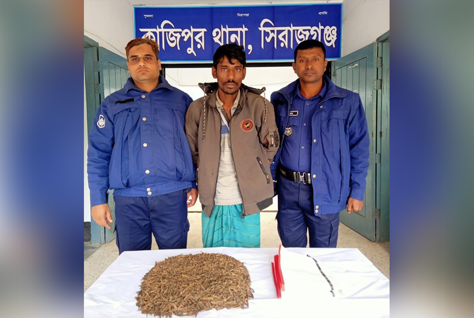 সিরাজগঞ্জে গাঁজাসহ মাদক ব্যবসায়ী আটক